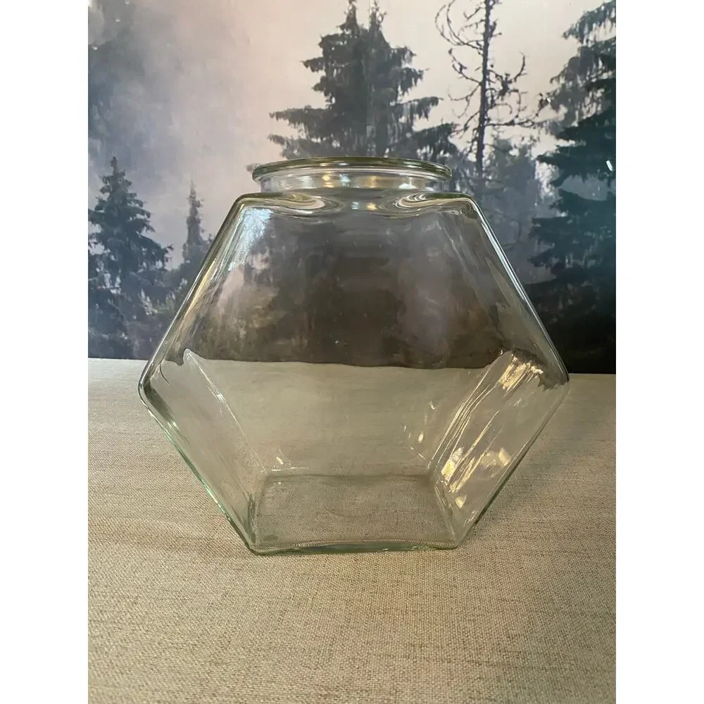 Large Vintage Hexagon Glass Jar Terrarium Canister Vtg 9